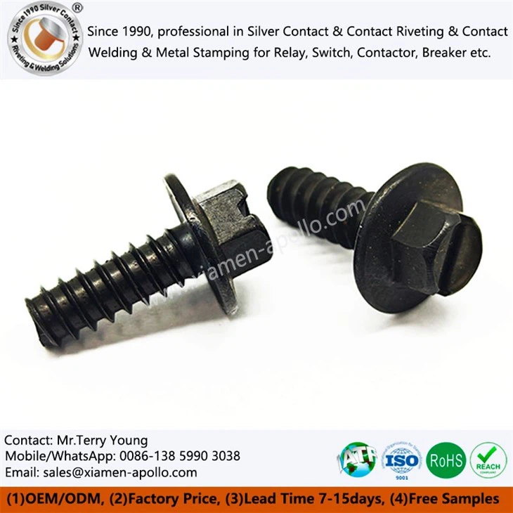 Stainless Steel Screw