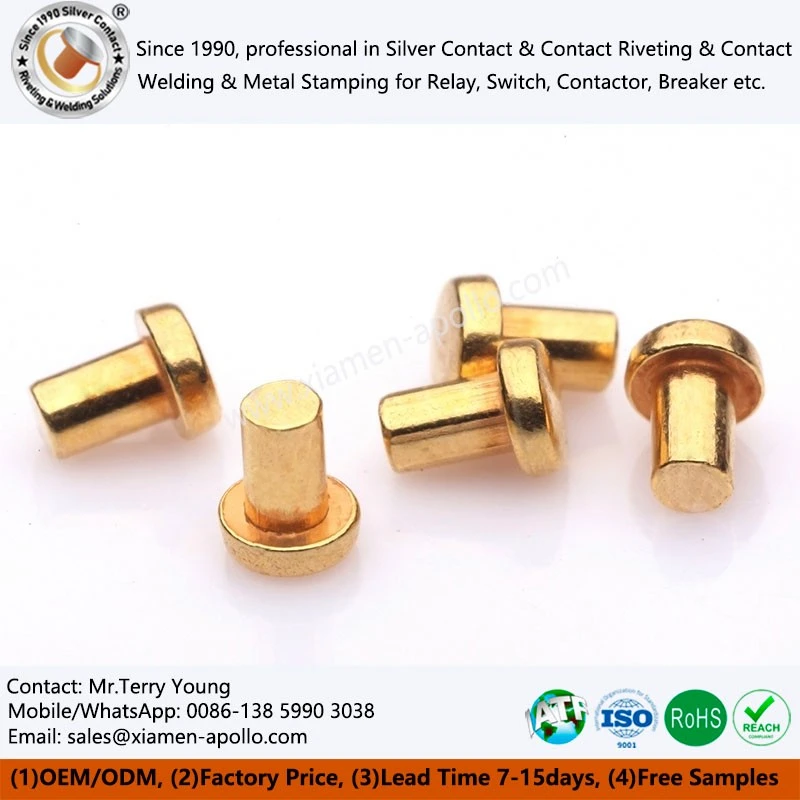 Electrical Contact Gold Plated Electrical Contact Gold Plated